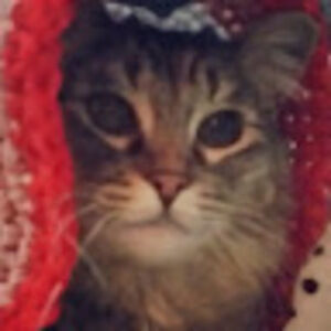 Meet your Posher, Tamara